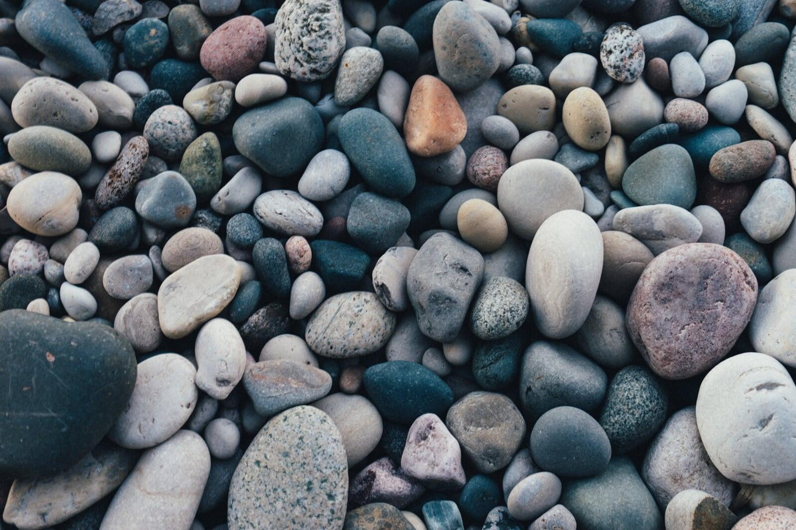 Don’t let a rock take your place